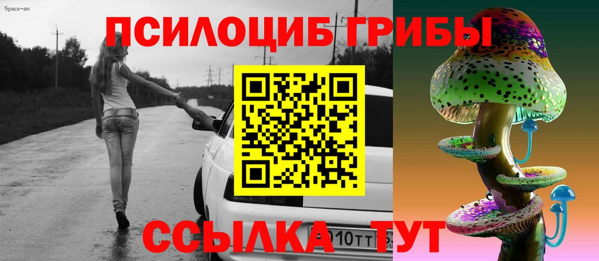 Псилоцибиновые грибы GOLDEN TEACHER Темрюк