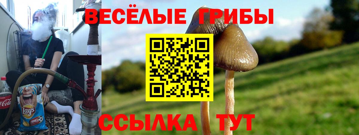 Псилоцибиновые грибы Cubensis  Псилоцибиновые грибы GOLDEN TEACHER  Вход с VPN  Темрюк 